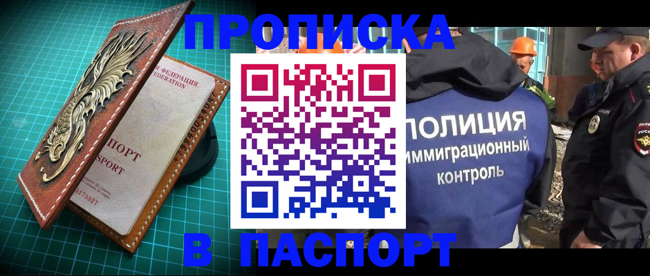 где прописаться в Кингисеппе